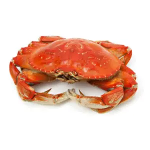 Crab
