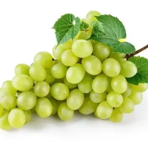 Grape Green
