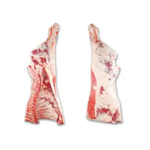 Hindquarter