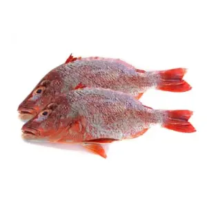 Red-Bream