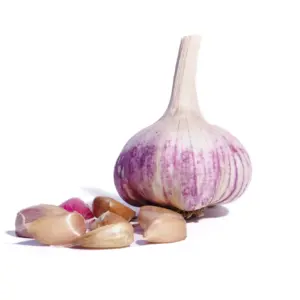 Spanish Garlic