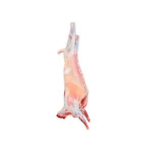 Whole-Lamb