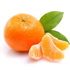 mandarin_orange